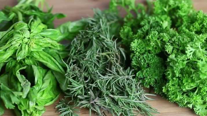 Как хранить листья салата в холодильнике: рекомендации, советы и рецепты