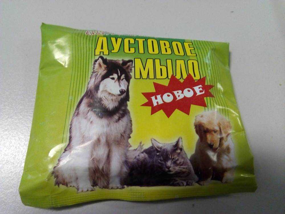 Хозяйственное мыло от блох у кошки - kotiko.ru