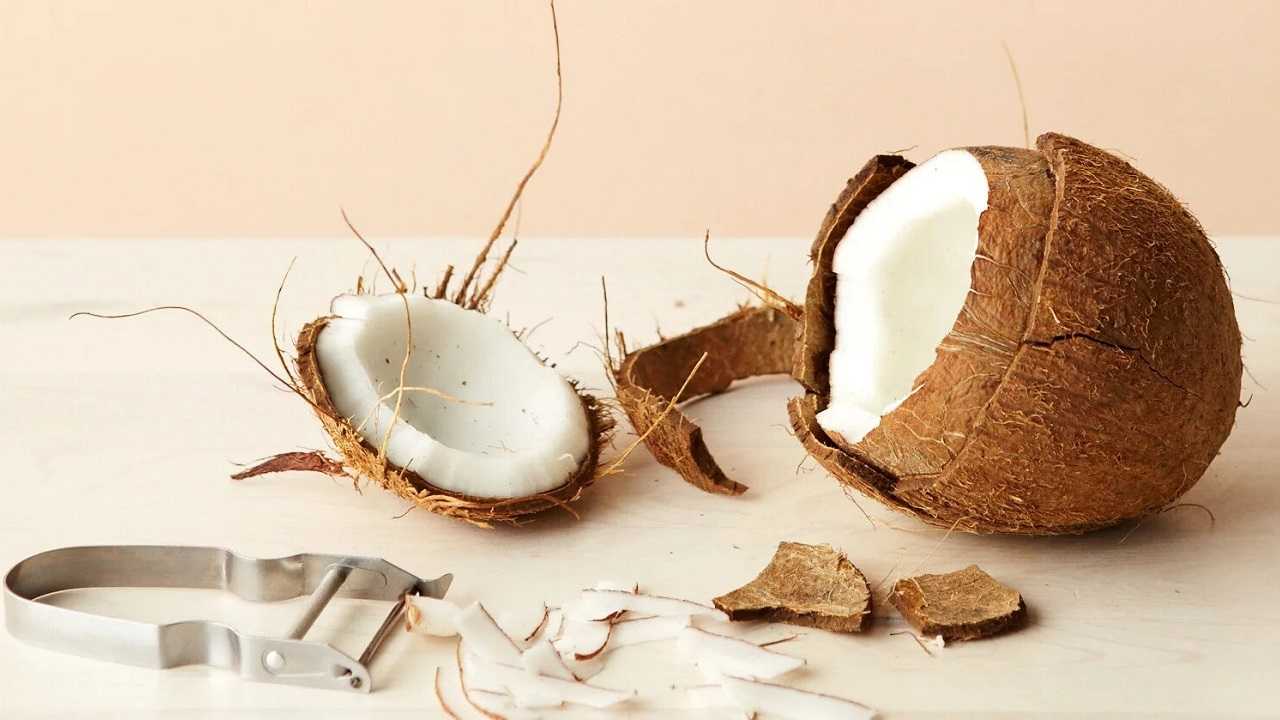 Как открыть или разбить кокос дома: 8 простых способов