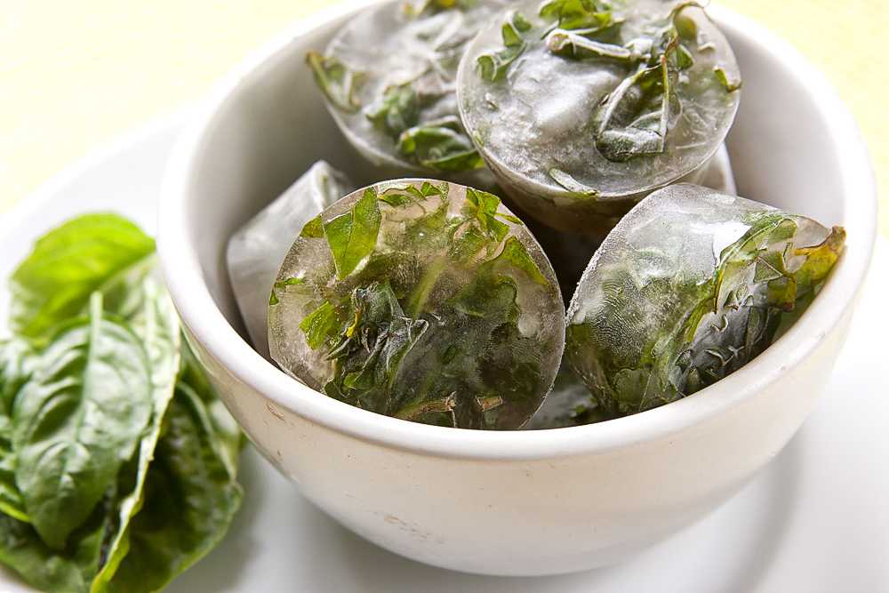 Как сохранить свежим листовой салат в холодильнике