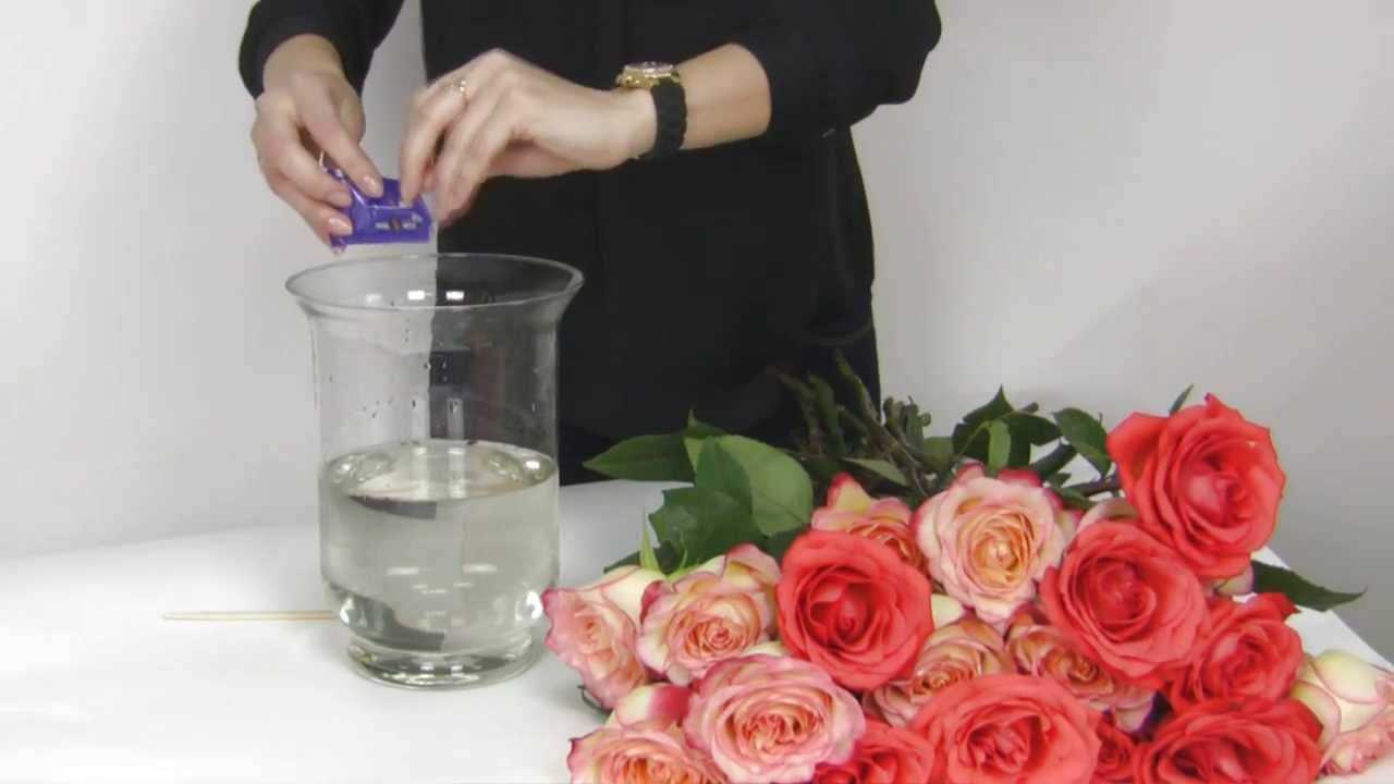 5 способов, как сохранить срезанные розы надолго: и ещё 14 советов от флористов
