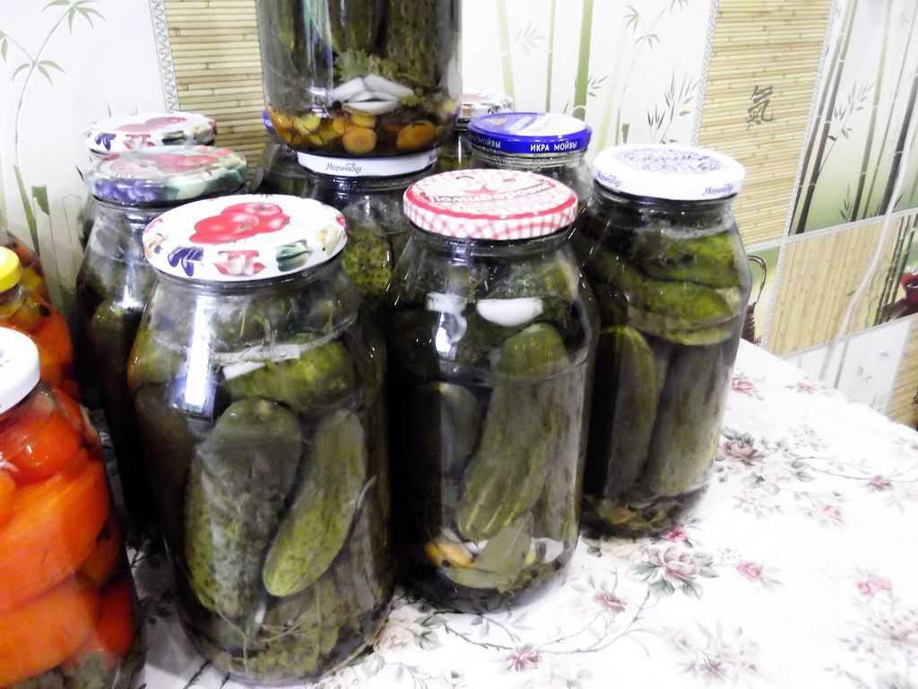 Хрустящие огурцы по-болгарски в литровых и 3 л банках – самые вкусные рецепты на зиму