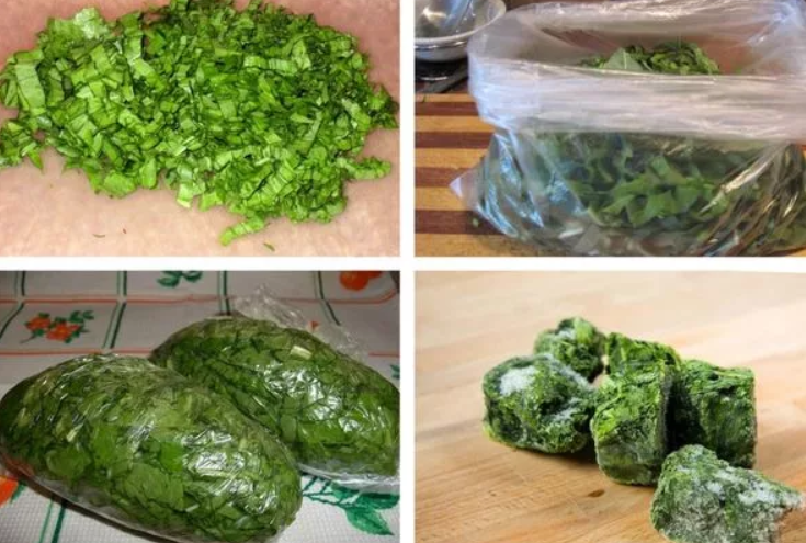 Как сохранить листья салата на зиму: рецепты и фото