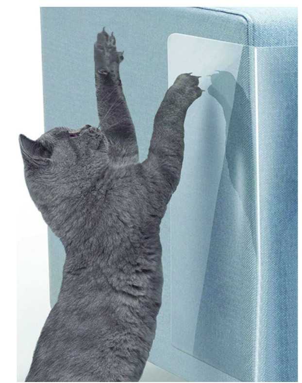 Как отучить кота драть обои и мебель, и прыгать на стены: практические советы и ноухау