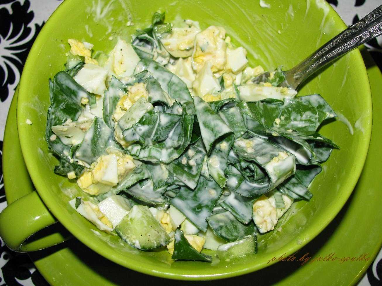 Что приготовить из щавеля? салат из щавеля — 12 вкусных и простых рецептов, пошагово с фото