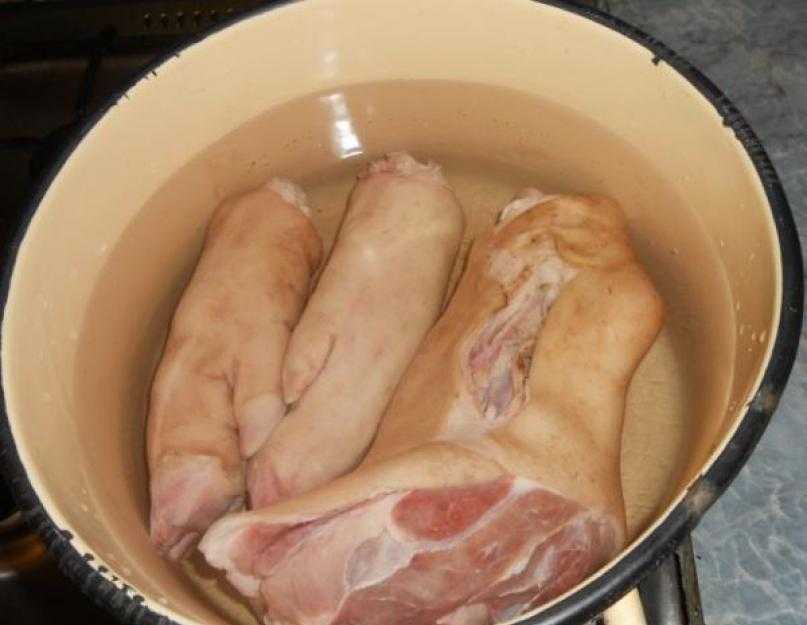 Холодец из свинины и курицы — рецепт вкусного и прозрачного холодца