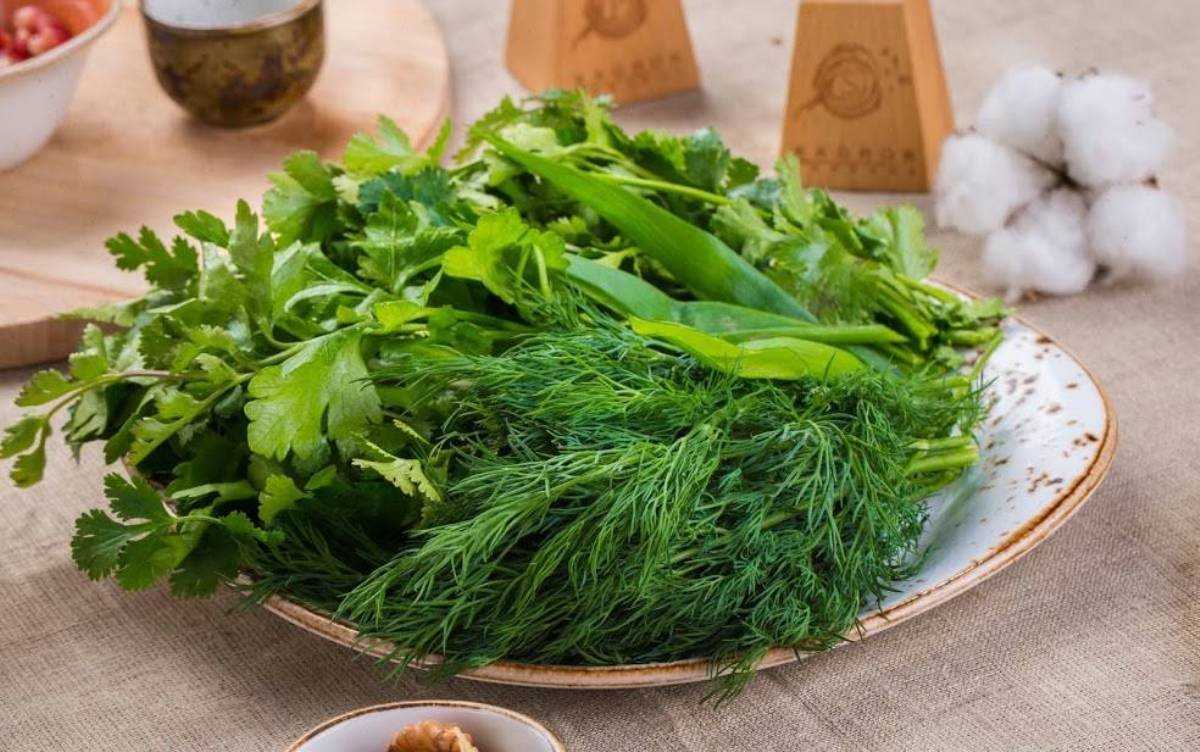 Как в холодильнике хранить листья салата: срок хранения зеленого салата свежим