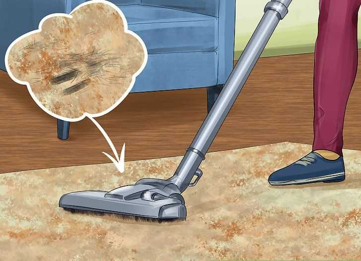 Как избавиться от запаха мочи на ковре | 22 способа убрать мочу с паласа в домашних условиях