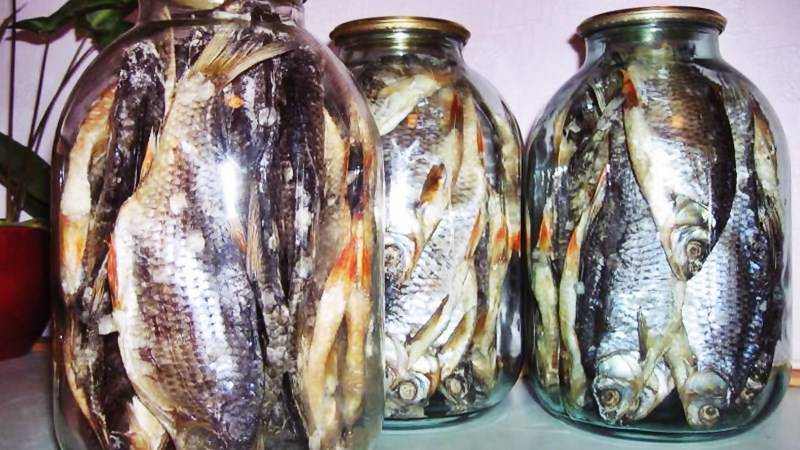 Правила хранения сушеной рыбы в домашних условиях