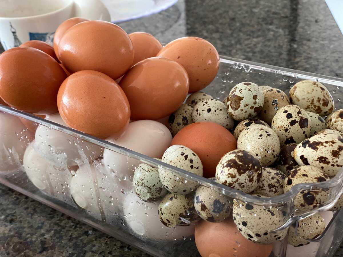 Не простое, а золотое, или сколько хранятся вареные перепелиные яйца