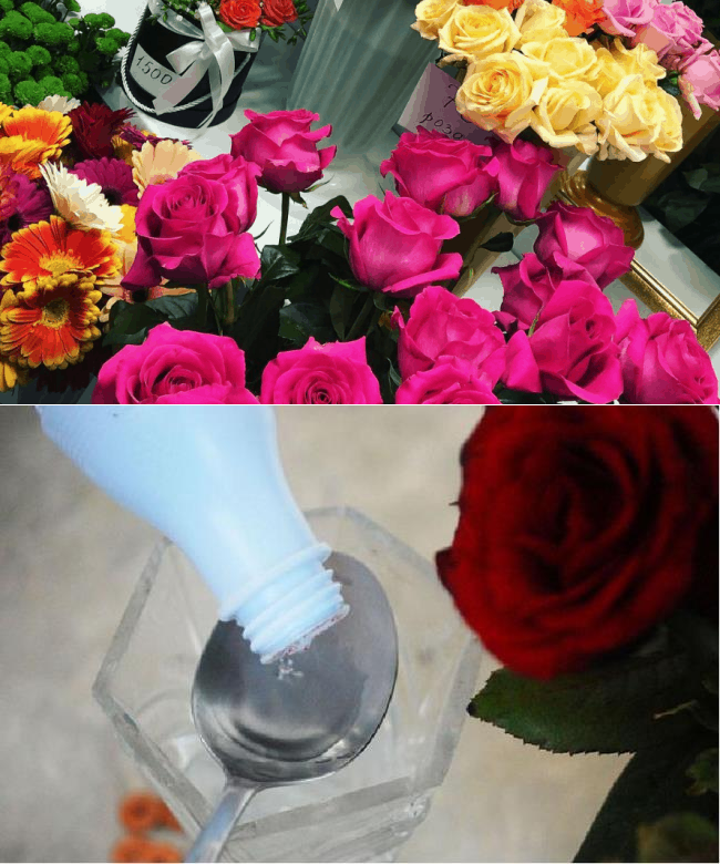 Как сохранить срезанные розы в вазе надолго красивыми?