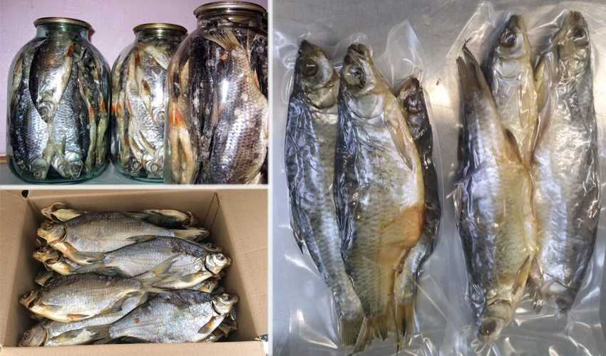 Где и как правильно хранить сушеную рыбу в домашних условиях