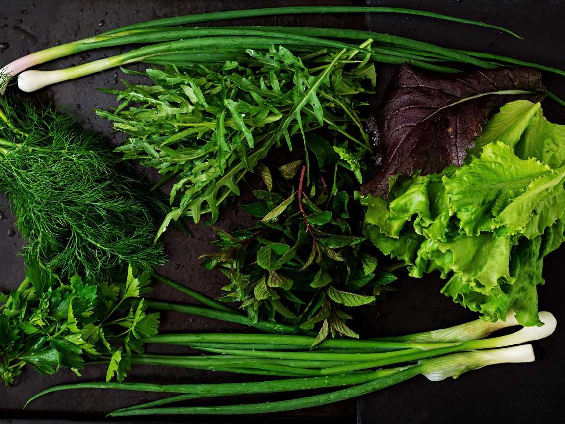 Как хранить листья салата в холодильнике свежими долго – советы