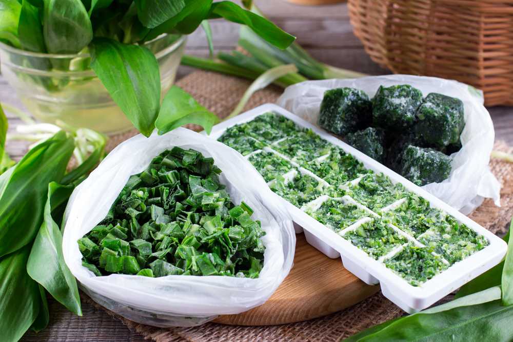 Как сохранить свежим листовой салат в холодильнике