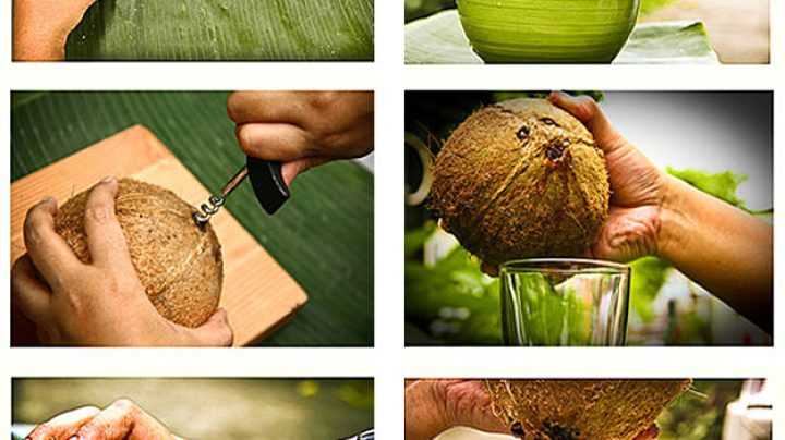 Как в домашних условиях расколоть кокос и извлечь мякоть