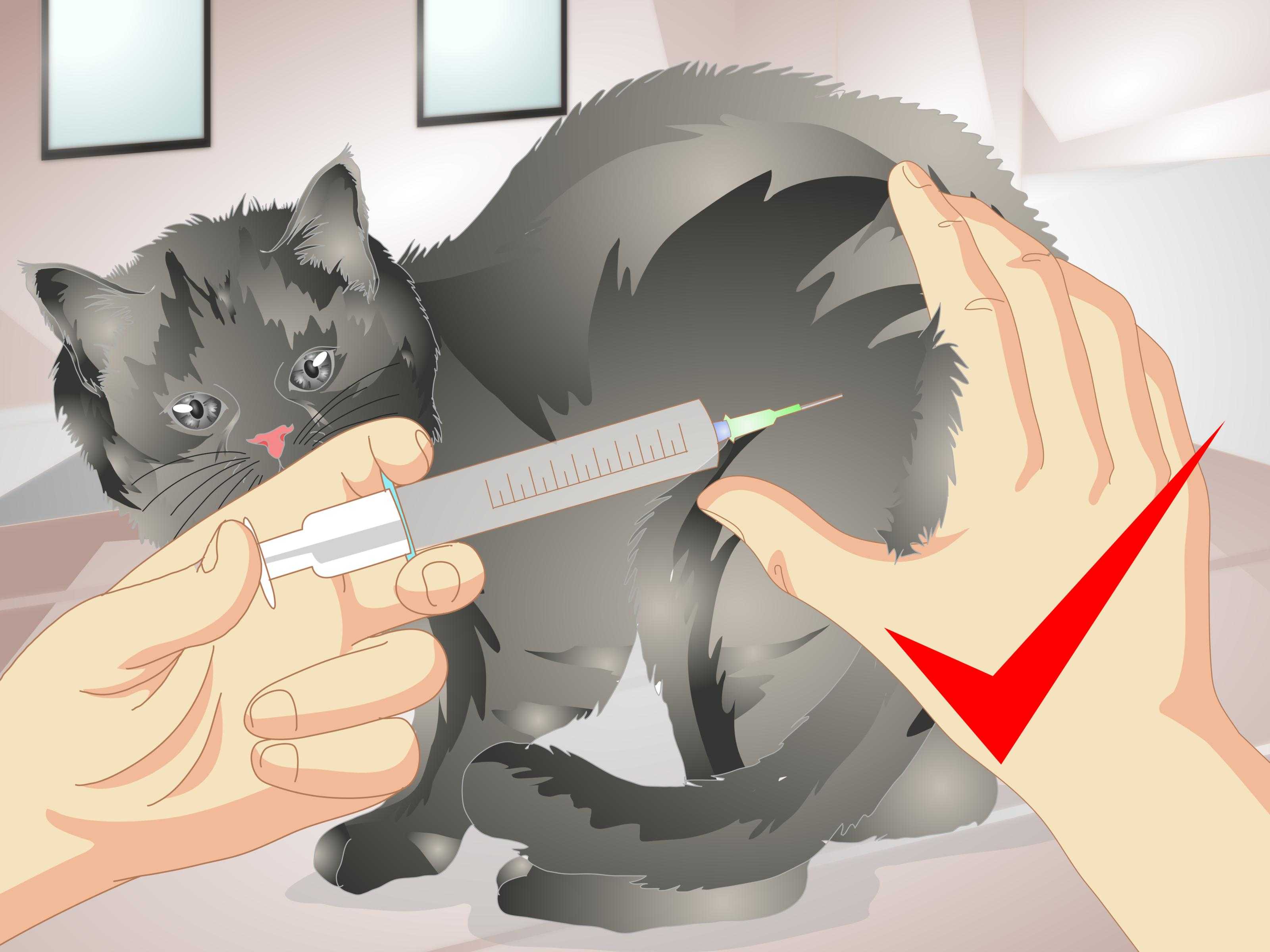 Как избавиться от запаха мочи на ковре - детские и взрослые неприятности, метки кошек и собак