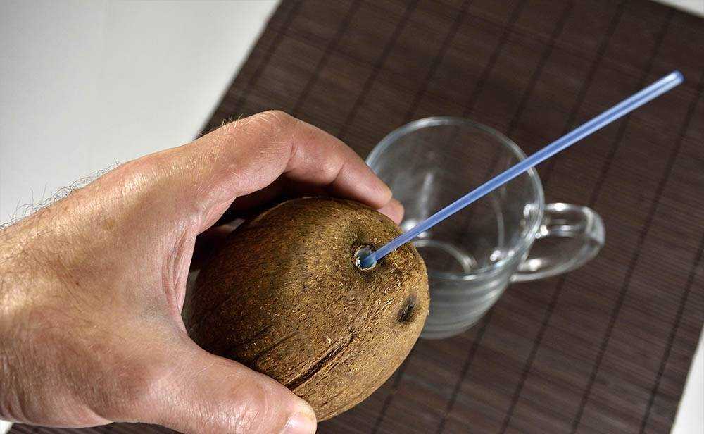 Как открыть кокос в домашних условиях - чем полезен кокос и как его правильно есть