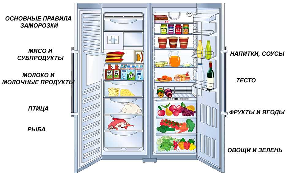 Почему нельзя ставить горячую еду в холодильник