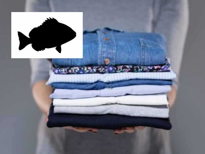 Какие подручные средства помогут в борьбе с неприятным запахом рыбы на одежде, какие способы можно использовать и каких правил стоит придерживаться во время стирки вещей, пахнущих рыбой