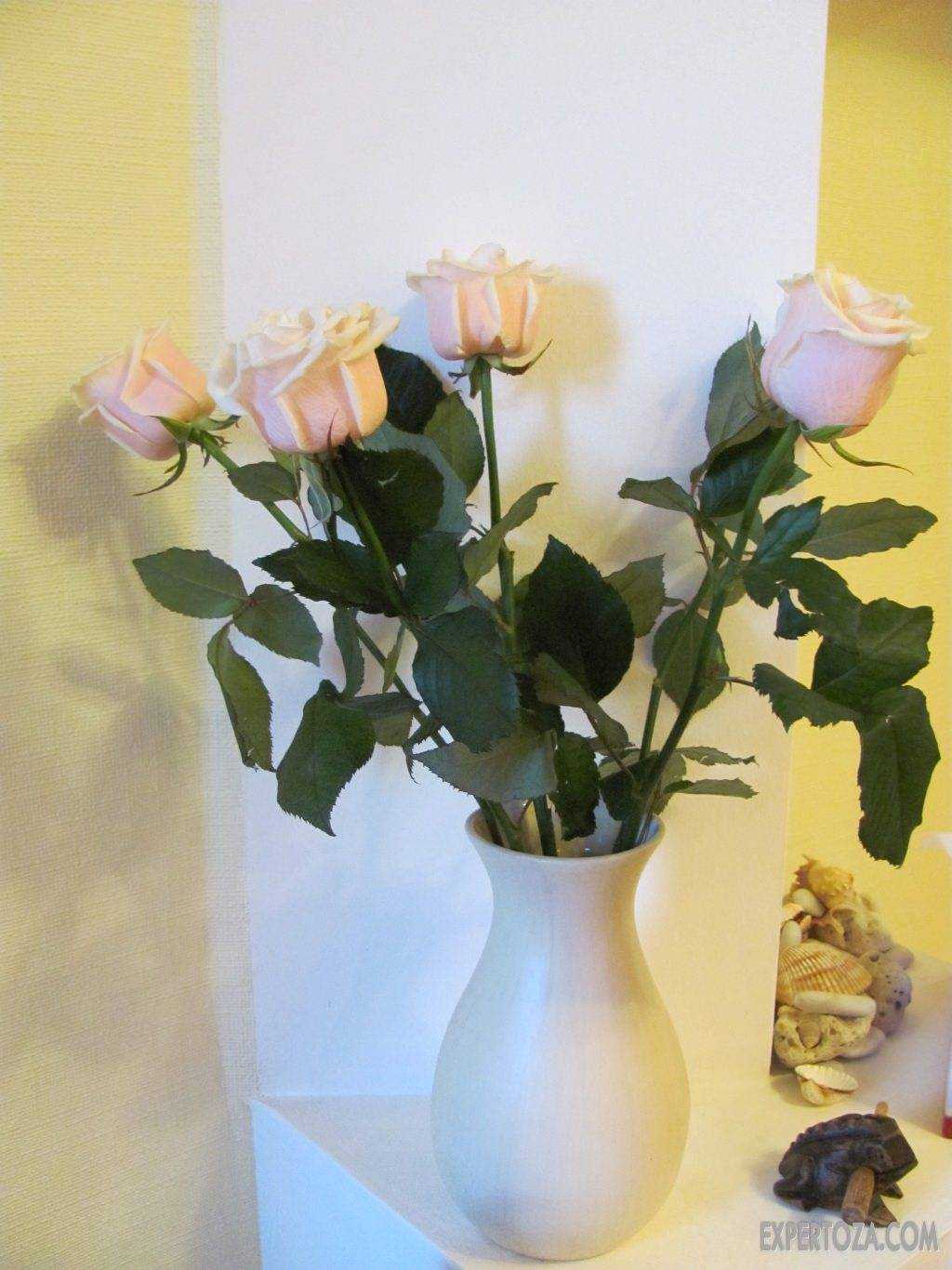 Как сохранить розы в вазе дольше всего: эффективные способы