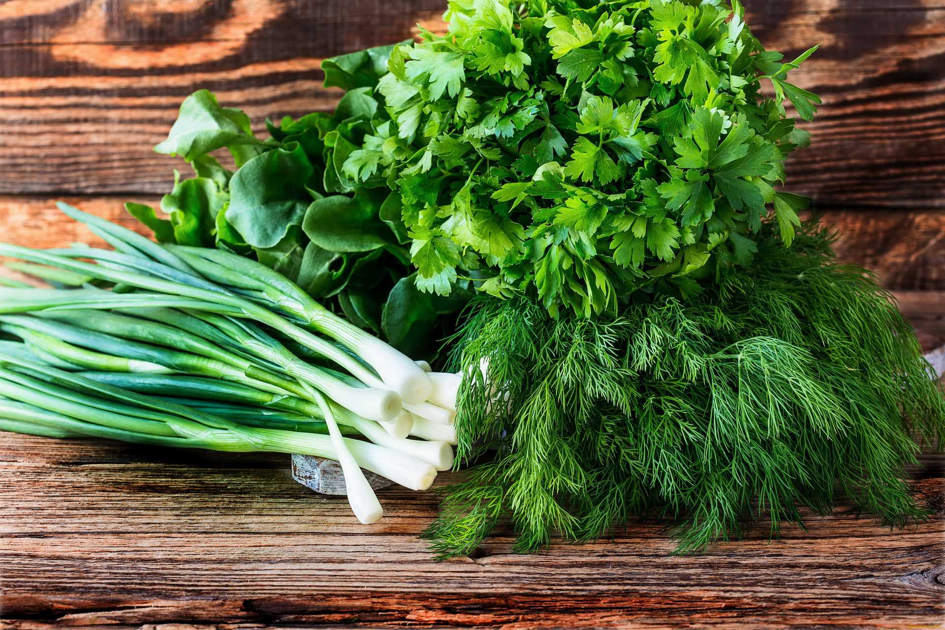 Как сохранить зеленый лук свежий в холодильнике долго: способы хранения, чтобы зелень как можно дольше оставалась сочной