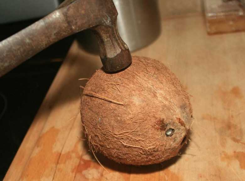 Как открыть и почистить кокосовый орех в домашних условиях: советы