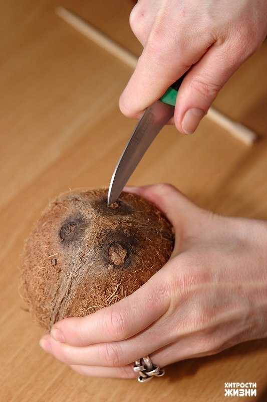 Как правильно открыть кокос в домашних условиях, чтобы легко и быстро извлечь содержимое: способы, инструкции, советы с фото и видео примерами