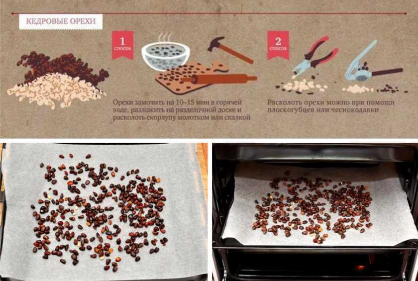 Как чистить кедровые орехи: как правильно и быстро почистить от скорлупы в домашних условиях, особенности чистки