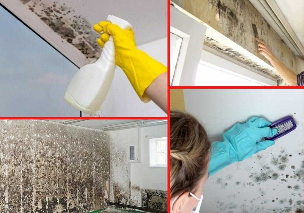 Несколько действующих способов против плесени и грибка на стенах вашей квартиры Как правильно приготовить различные средства и использовать их