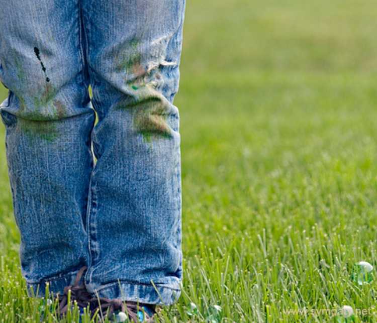 Как эффективно справиться с пятнами от травы на джинсах
