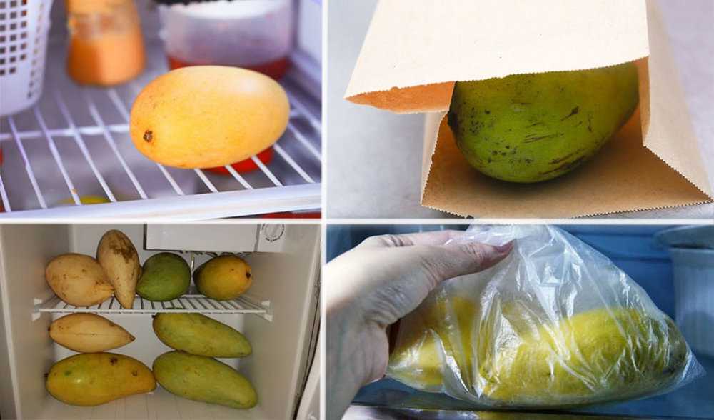Нужно ли чистить манго Как правильно происходит очистка и как его резать Как подготовить манго к употреблению и как его едят Что нужно, чтобы манго дозрело в домашних условиях Полезные свойства манго