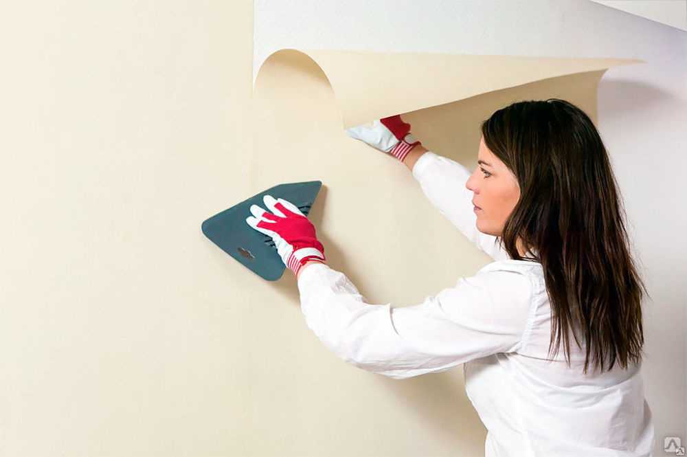 Как правильно клеить на стену и красить обои на флизелиновой основе, описание