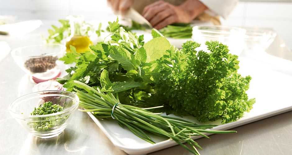 Как хранить листья салата, правила хранения зелени