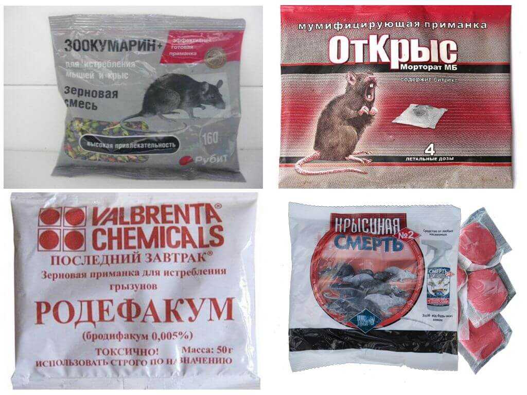 Отрава для собак в аптеке. Лекарство для мышей. Отрава для крыс в таблетках.