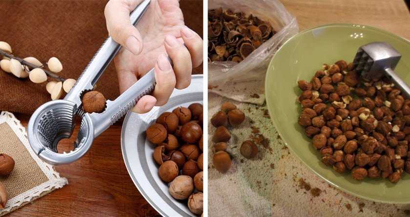Как чистить кедровые орехи: в домашних условиях и промышленных масштабах, как правильно очистить от скорлупы, что делать при очистке