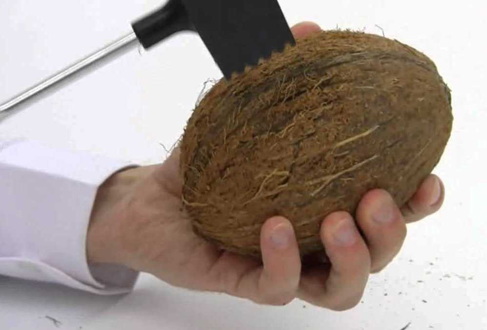 Как расколоть и почистить кокос в домашних условиях?