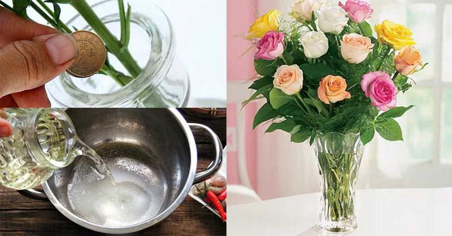 Как сохранить надолго срезанные розы Подбор вазы Сколько налить воды и как часто ее нужно менять Правильный выбор цветов