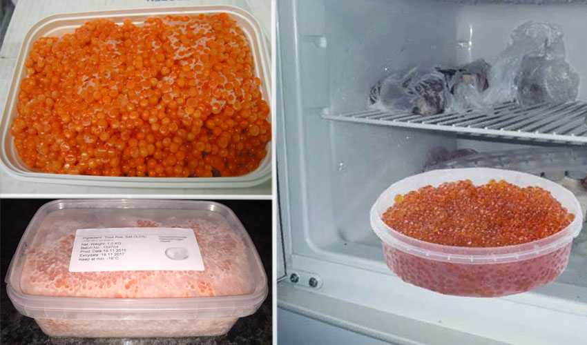 Можно ли замораживать красную икру: в холодильнике или морозилке для хранения надолго или до нового года