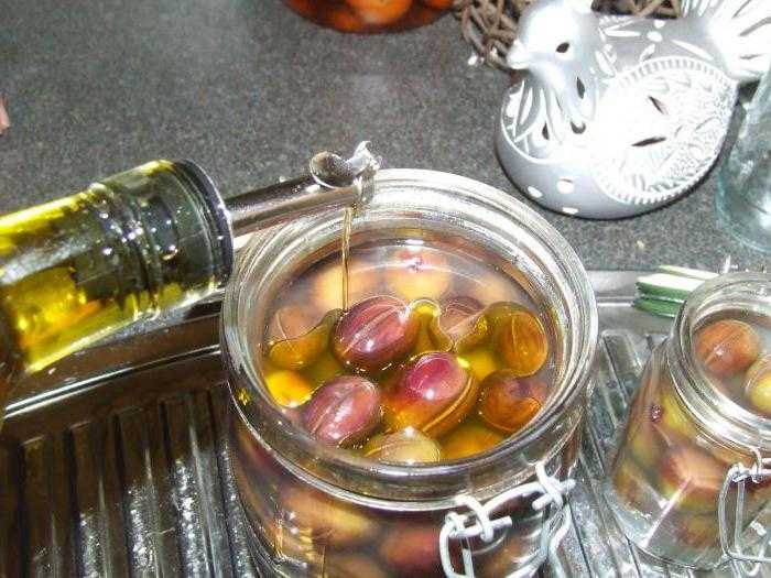 Срок годности оливкового масла в стекле и жестяной банке