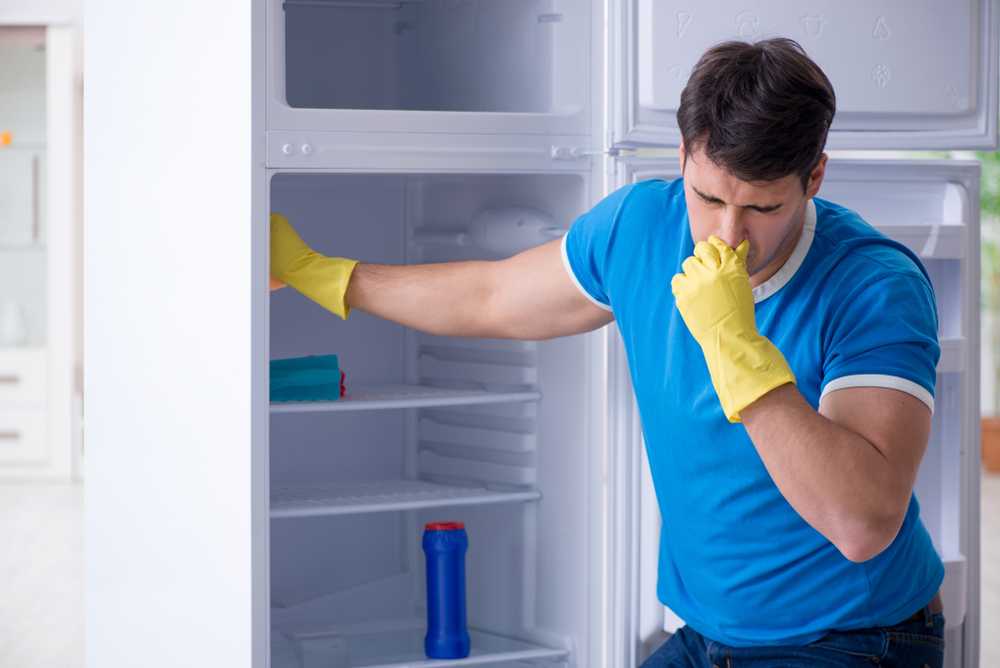 Как убрать неприятный, тухлый запах из холодильника в домашних условиях