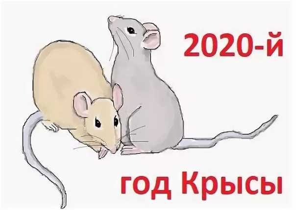 Какого животного будет 2020 год по славянскому календарю. 2020 год какого животного по восточному календарю