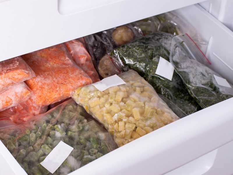 Можно ли хранить холодец в холодильнике и морозильнике: срок хранения по нормам сэс