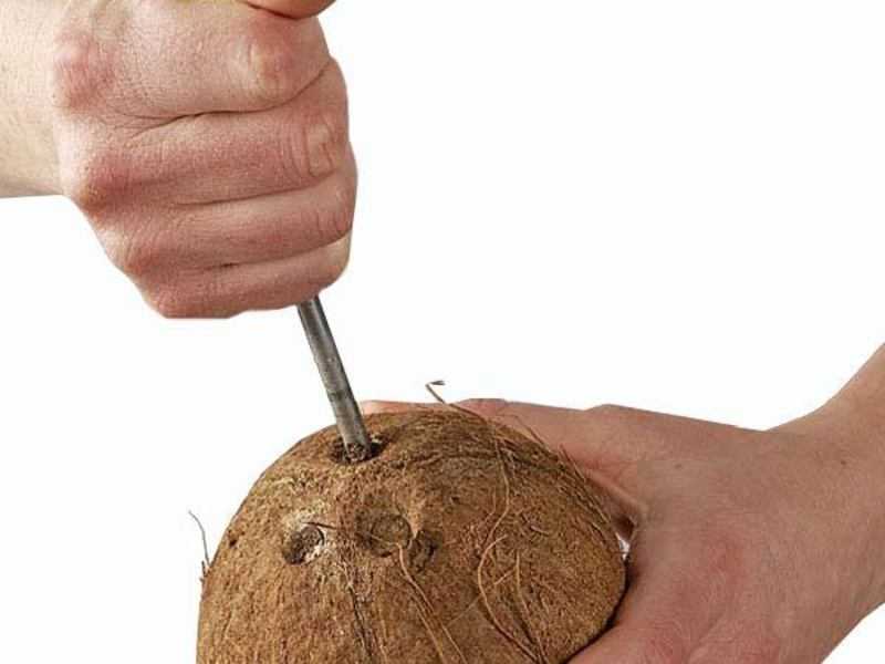Мякоть кокоса: как называется сушеная, как достать (отделить) с помощью молотка и вытащить (выколупать) из скорлупы ореха без него, что делать с продуктом?