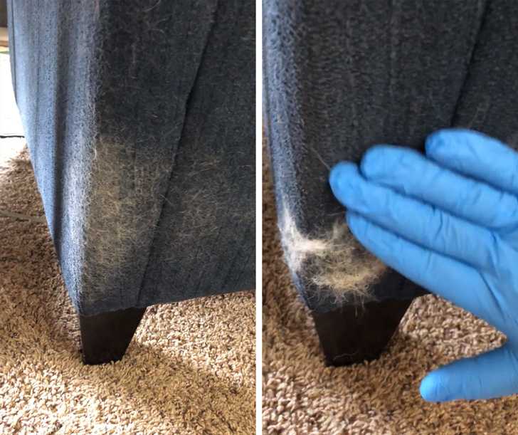 Как избавиться от кошачьей шерсти — простые способы и важные рекомендации