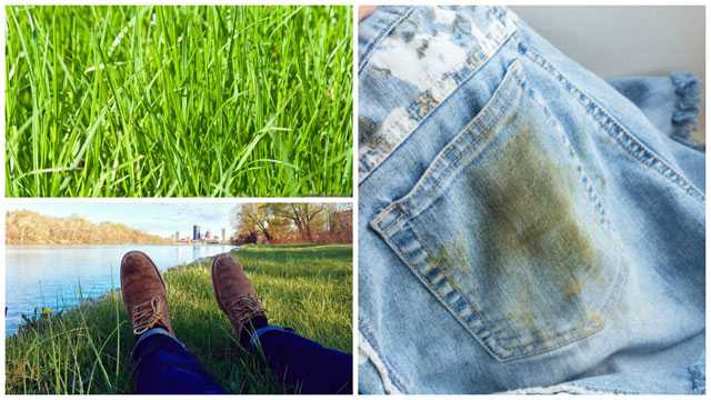 Как и чем отстирать пятна от травы и зелени на джинсах, штанах, с одежды? старое пятно от травы: чем убрать с джинсов?