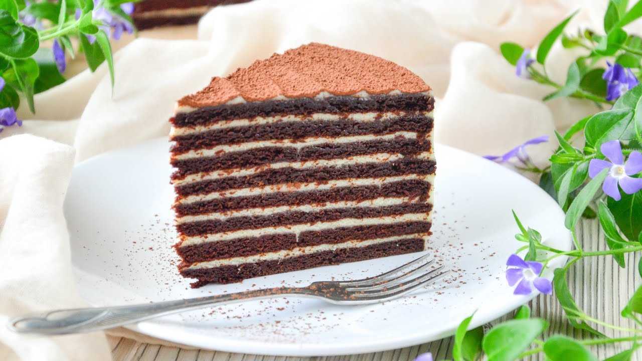 Торт «спартак»: с шоколадным заварным и масляно-заварным кремом