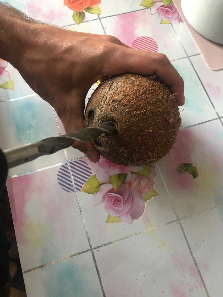 Как открыть кокос в домашних условиях без молотка