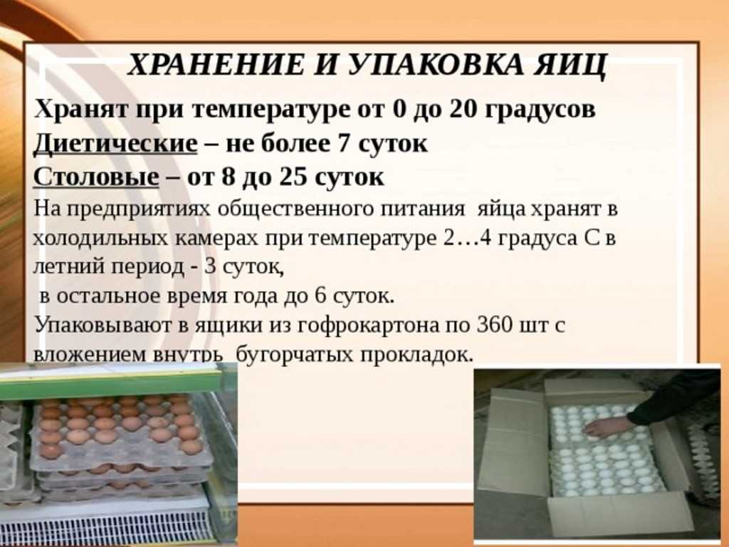 Сколько и как хранить яйца в холодильнике (сырые и вареные)