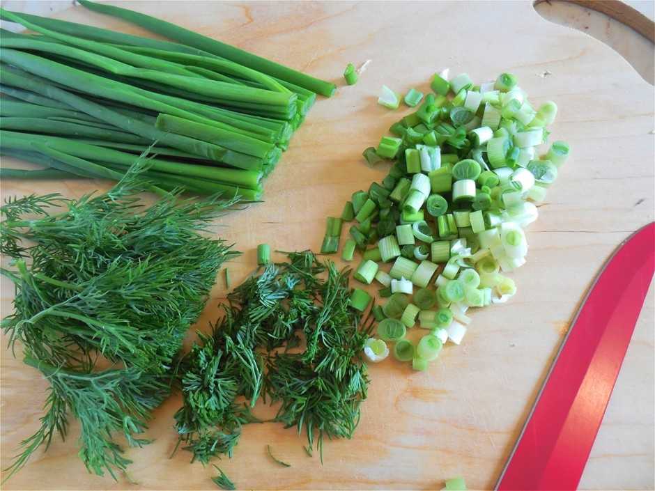 Как сохранить листья салата на зиму: 3 метода консервирования и 2 вида заморозки